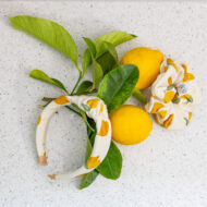 Big Lemons - Image 2